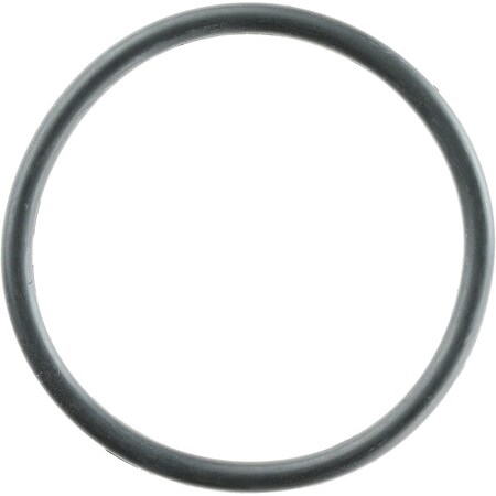 Reinz Water Housing O-Ring 41-10453-00